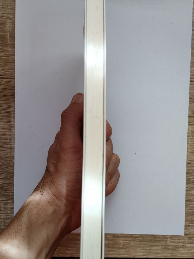 El camino de las hormigas (de Josep López Romero) 