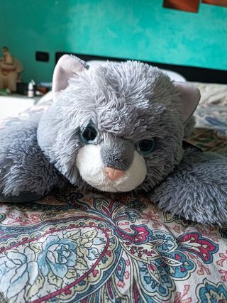 Peluche gatto