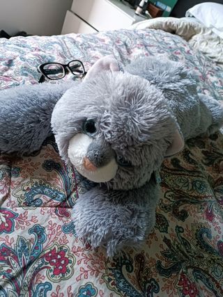 Peluche gatto