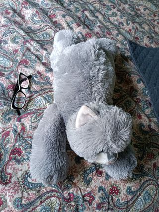 Peluche gatto