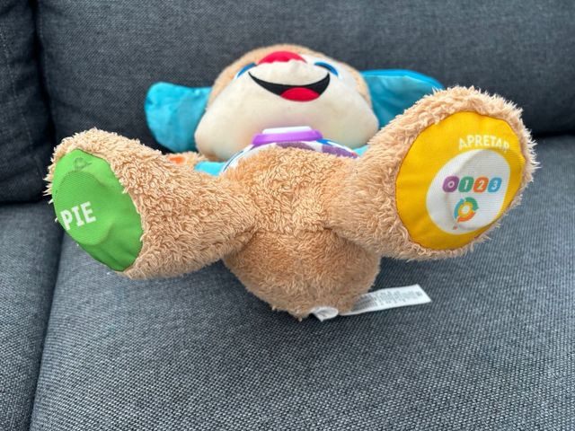 perrito primer descubrimiento