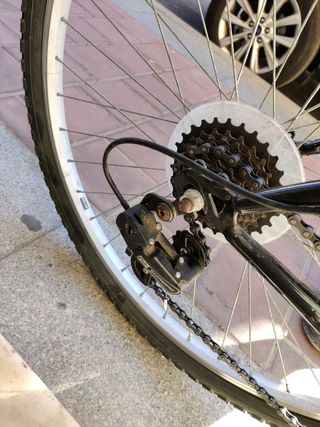bicicleta carretera Trek