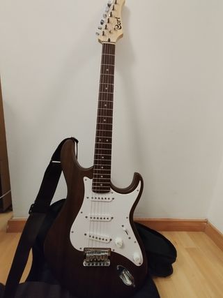 Guitarra eléctrica + amplificador 