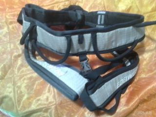 Arnes Edelweis Eagle