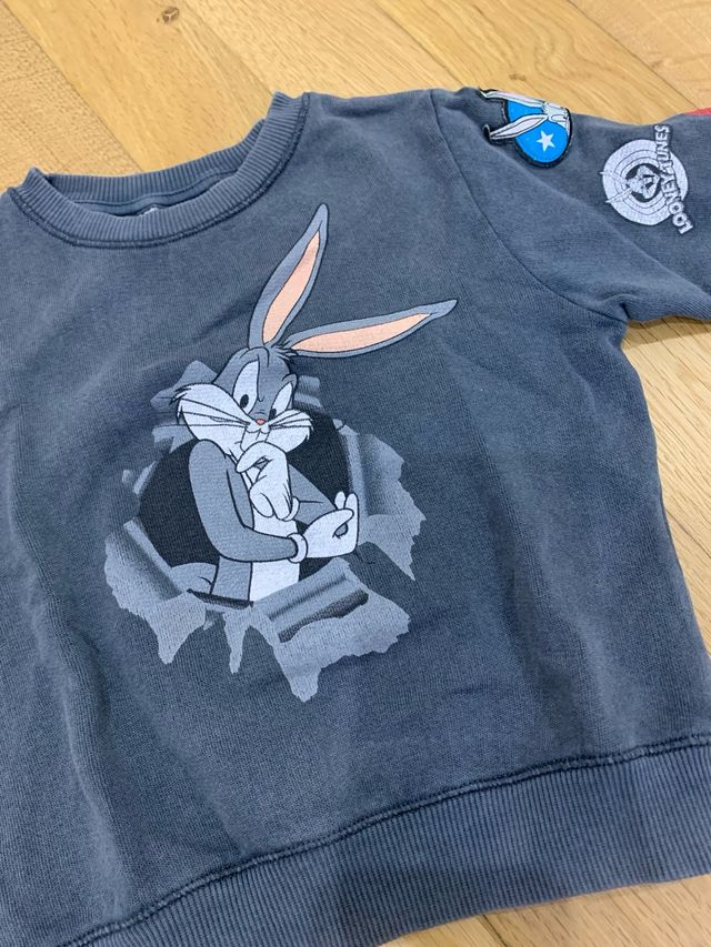 felpa bambino Zara 12/18 mesi