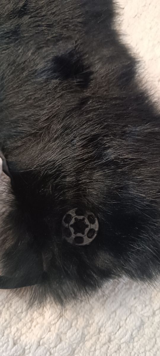 Cuello pelo negro. Nuevo!!!!