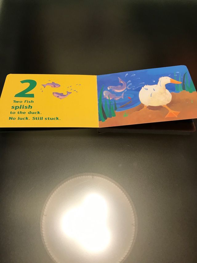 Libro infantil “One duck stuck”