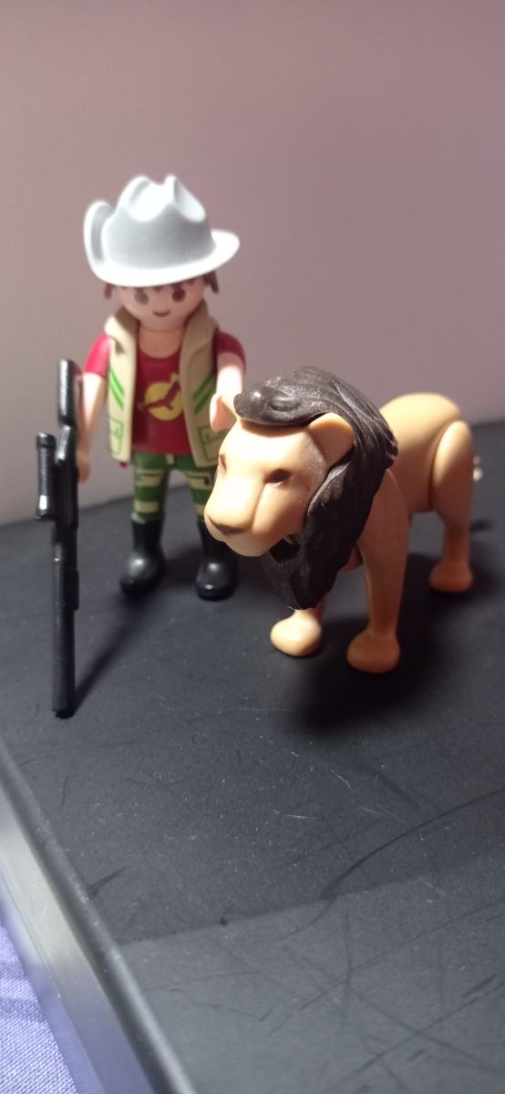 PLAYMOBIL- 5 Muñecos variados