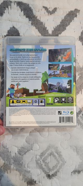 Minecraft (ps3)