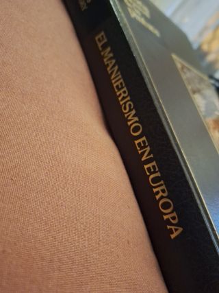 El manierismo en Europa