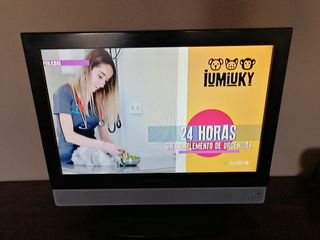 TELEVISOR / MONITOR PC 19 " ALTAVOCES INTEGRADO