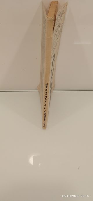 Libro EL GATO BAJO LA LLUVIA