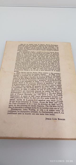 Libro EL GATO BAJO LA LLUVIA