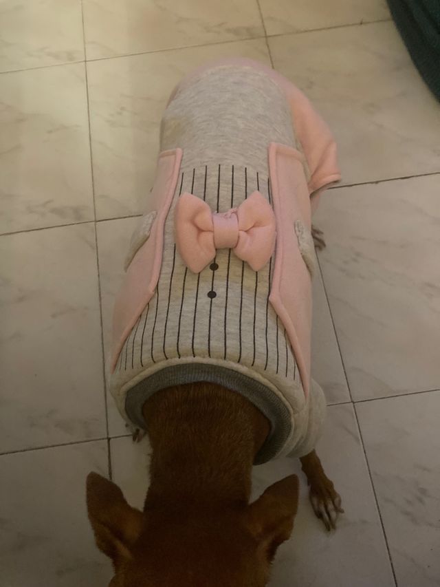 ropa de perro 40 cm diametro