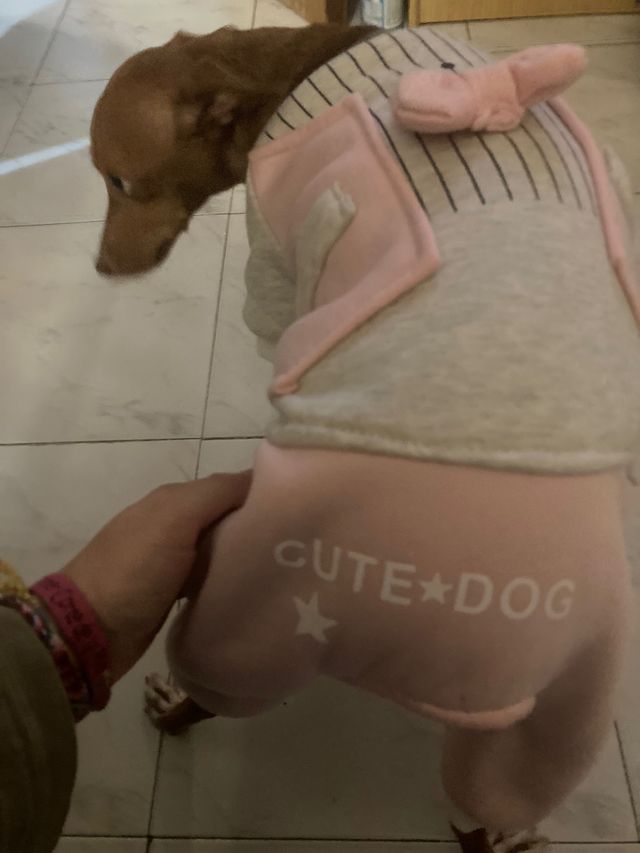 ropa de perro 40 cm diametro