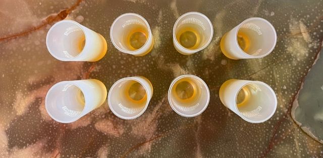 Set bicchierini da shot Harley Davidson 