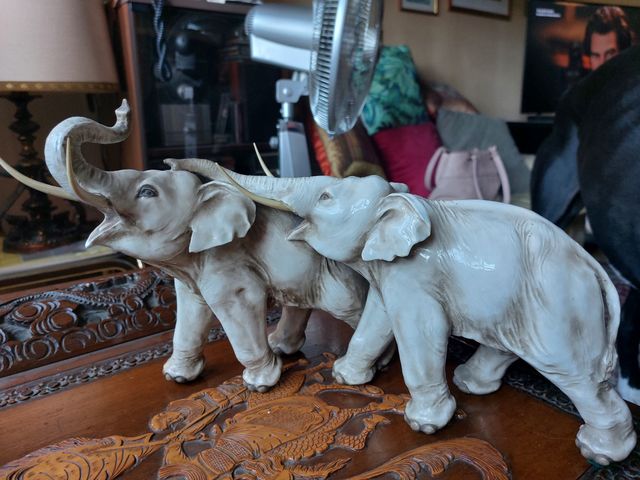 Cacciapuoti coppia elefanti " Maternità