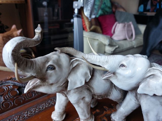 Cacciapuoti coppia elefanti " Maternità