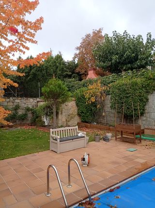 jardinero profesional 🌲628699264🌿