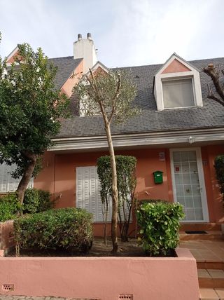 jardinero profesional 🌲628699264🌿