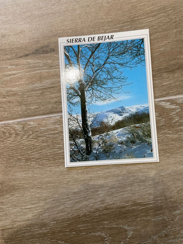 Lote 8 postales Béjar nuevas