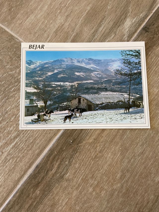 Lote 8 postales Béjar nuevas