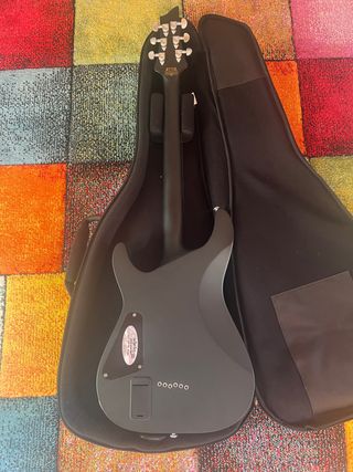 Guitarra Electrica Schecter Damien Platinium 6 SBK