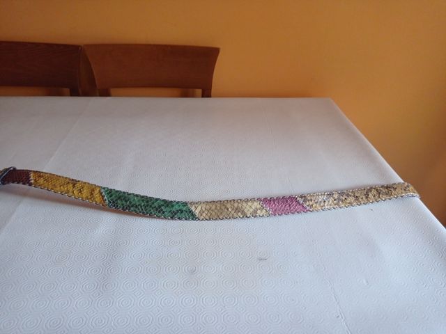 Cintura in vero pitone