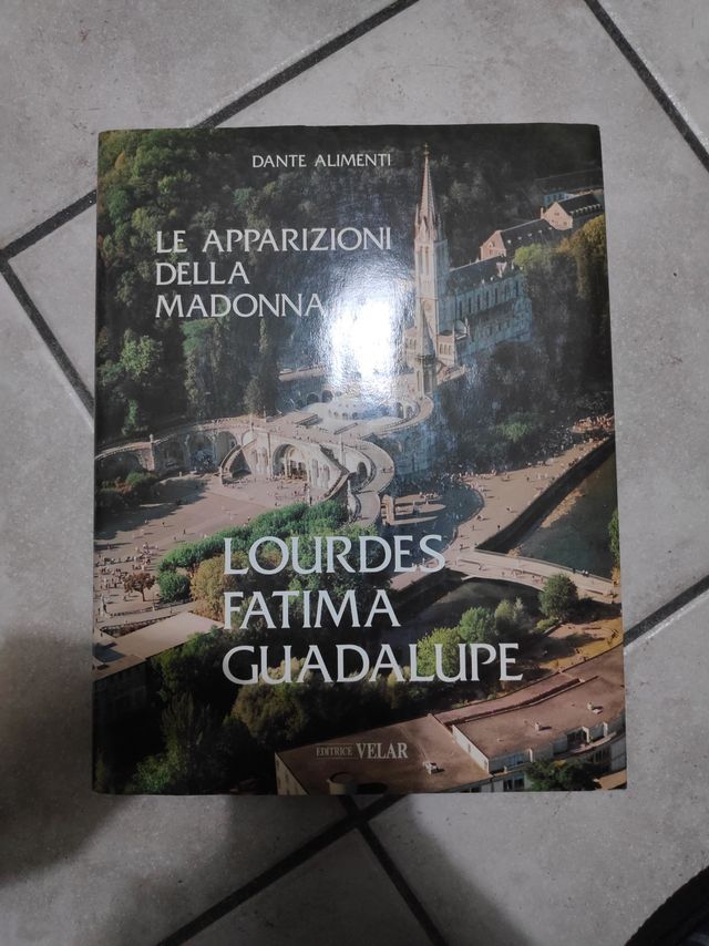 Dante Alimenti apparizioni Madonna Lourdes Fatima