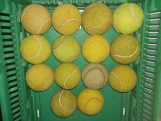 Pelotas