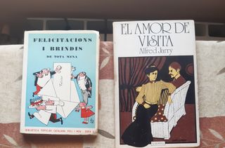 Lote libros