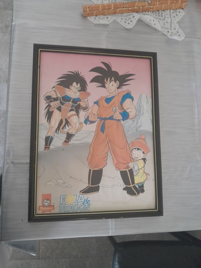 Cuadros bola dragón