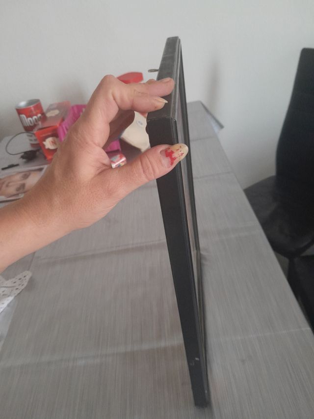 Cuadros bola dragón