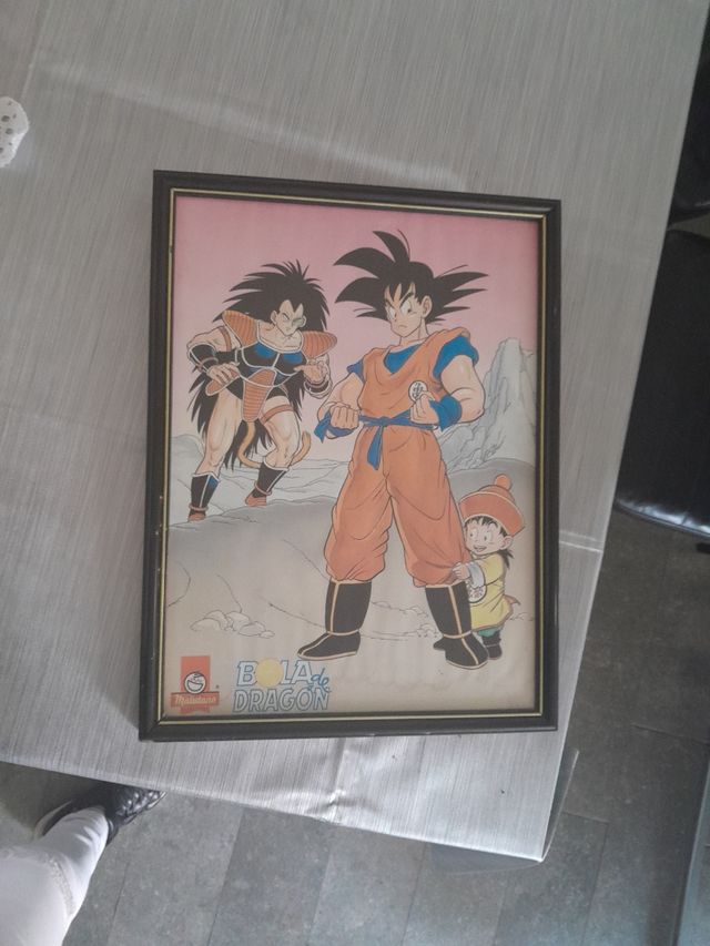 Cuadros bola dragón