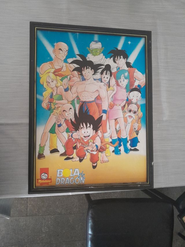 Cuadro bola de dragón