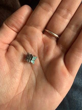Charms plata