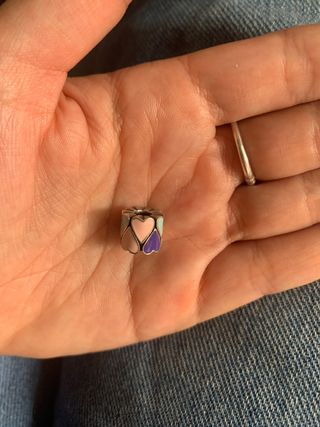 Charms plata