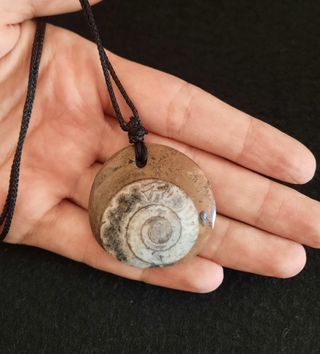 Colgante de Fósil Ammonite.