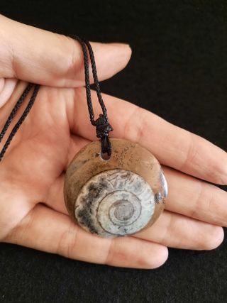 Colgante de Fósil Ammonite.