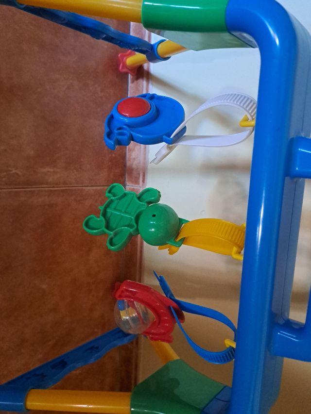 Palestra per bambini