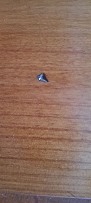 Sillas de comedor/ precio unidad