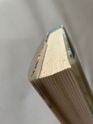 Quiero ser escritora (Paola Zannoner)