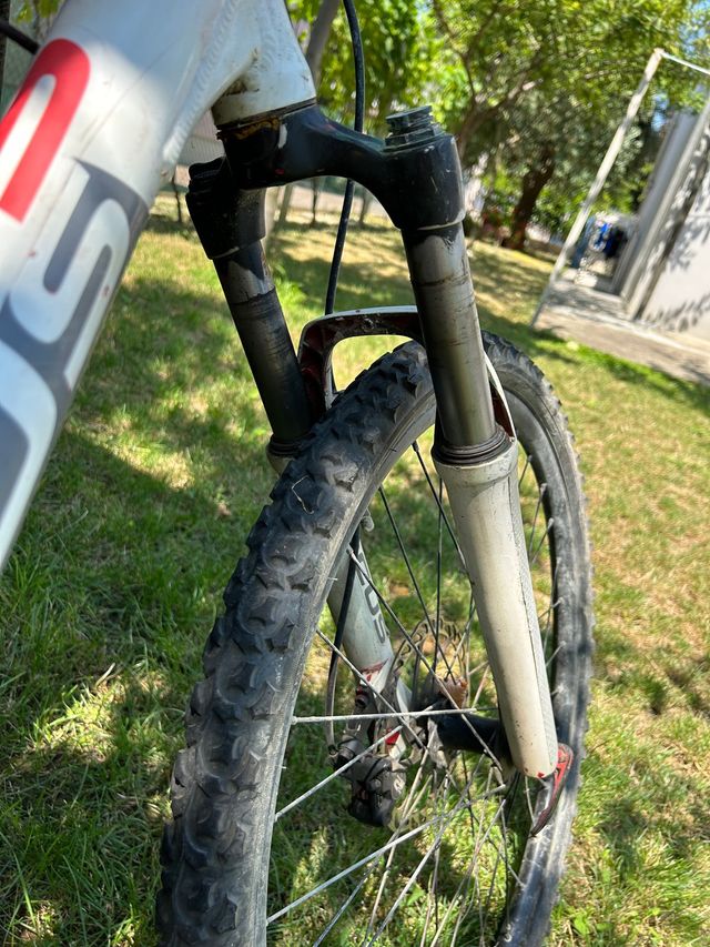 mtb focus 26