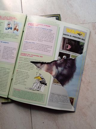 2 revistas super Wapiti