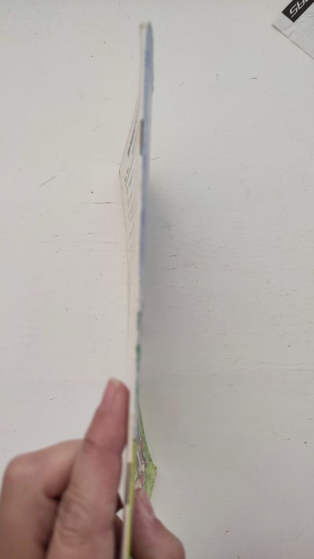 Los campamentos de verano