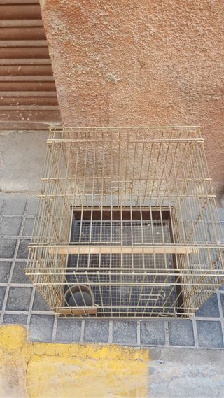 jaula de loro
