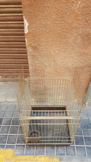 jaula de loro