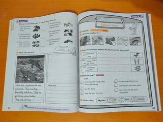 Activity Book 4