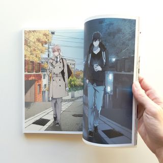 💎 Mirror libro de arte Rihito Takarai