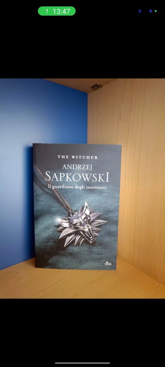Il guardiano degli innocenti-the witcher